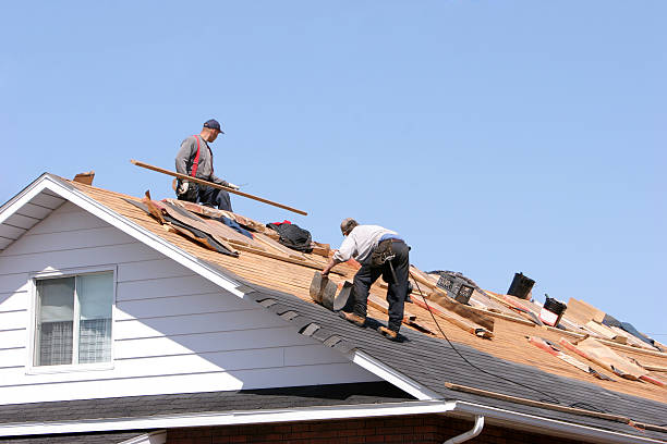 Professional Roofing service in Coal Creek, CO